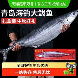 鲅鱼新鲜冷冻山东特大马鲛鱼整条青岛鲅鱼片香煎燕鲅鱼段海鱼