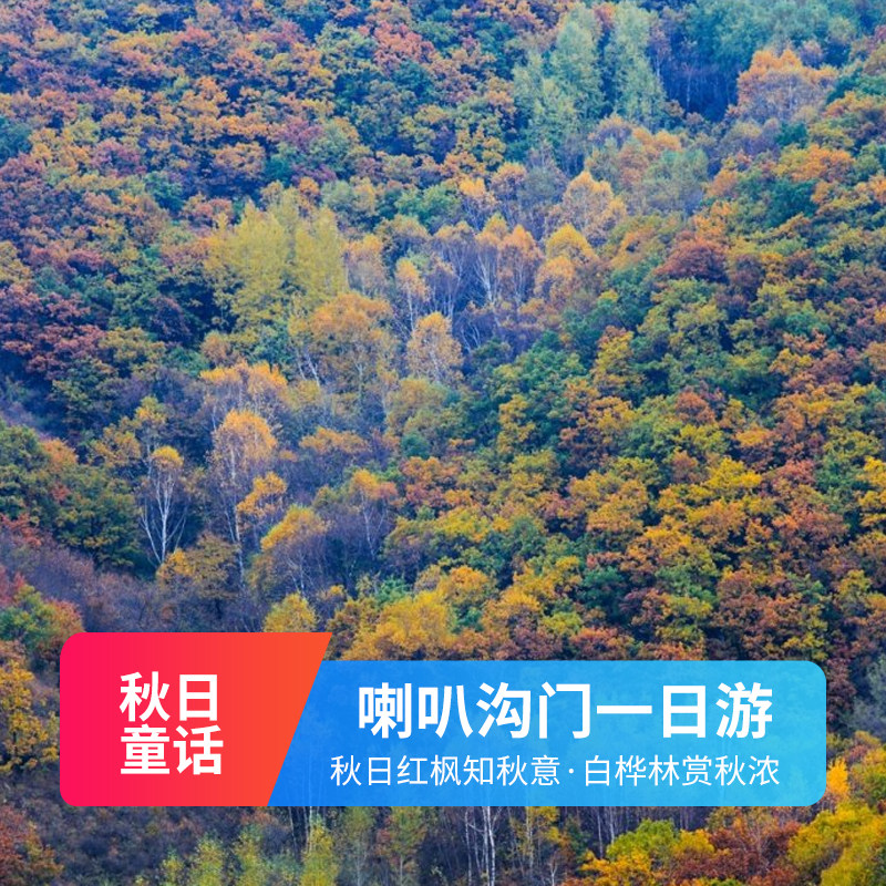 北京喇叭沟门一日游 纯玩跟团1日游 穿越原始森林 北京秋色