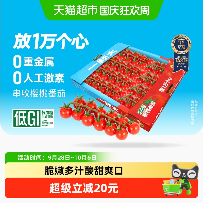 一颗大串收樱桃番茄自然成熟图片