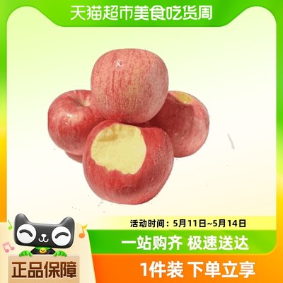 陕西延安洛川富士苹果肉质脆密香甜可口新鲜水果整箱包邮