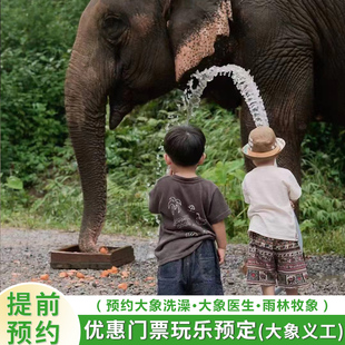 西双版纳野象谷 门票/大象洗澡/雨林牧象 /大象医生/繁育中心大象保育员等体验预约