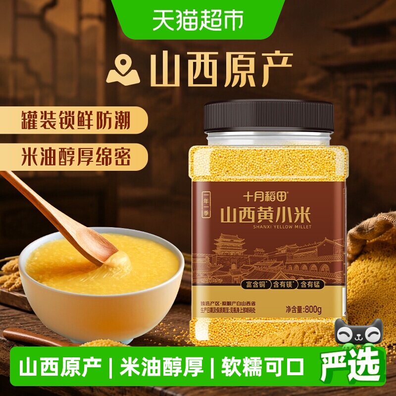 十月稻田山西黄小米粗粮易煮香糯图片