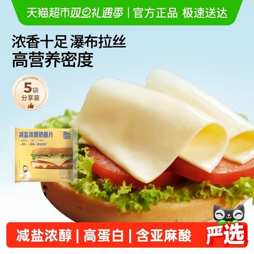 烘焙奶酪片dr.cheese/奶酪博士