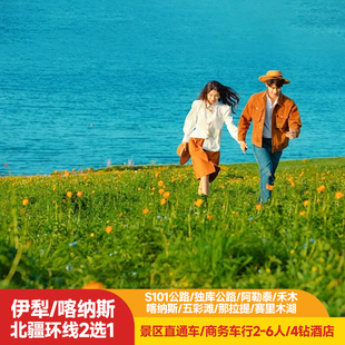 純玩旅行團 新疆旅游烏魯木齊阿勒泰7天6晚賽里木湖那拉提6人經典