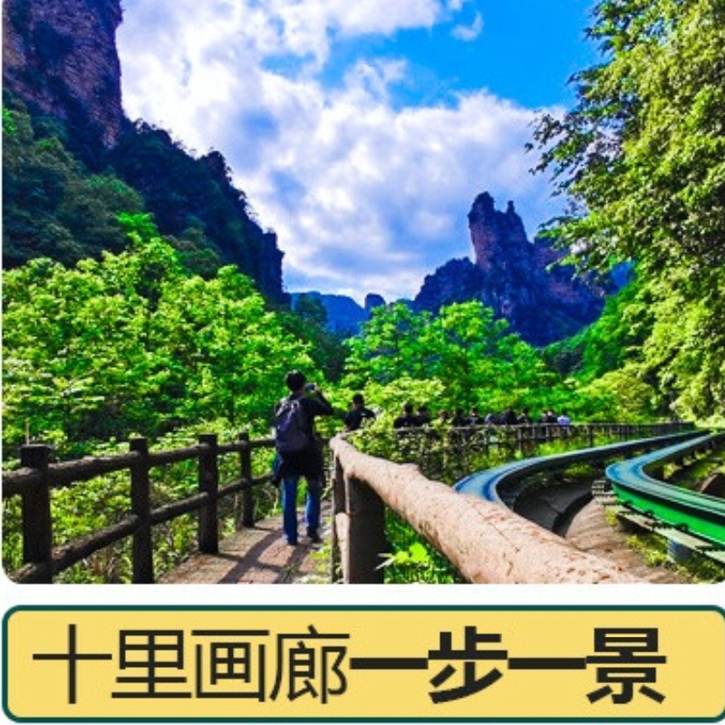 十里画廊往返小火车票