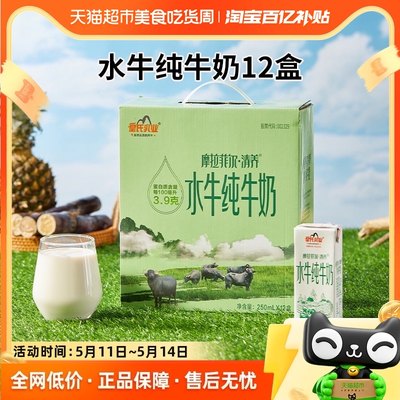 皇氏乳业清养牛奶250ml×12盒
