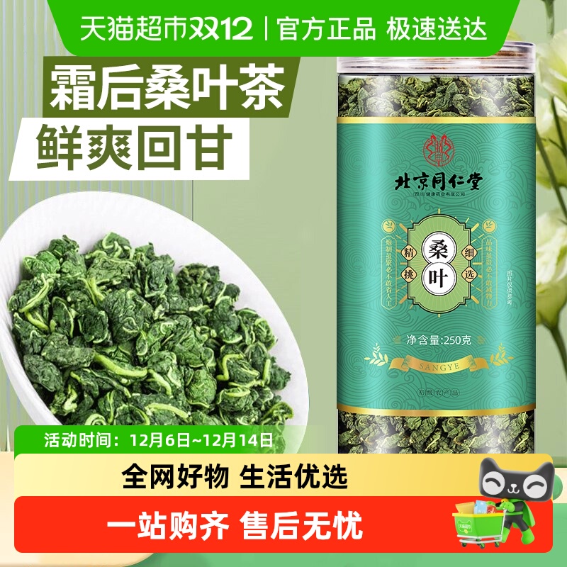 北京同仁堂新鲜霜降秋后桑叶泡水