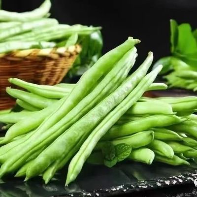 云南新鲜现摘四季豆500g装农家自种当季脆嫩鲜甜饱满直供健康营养