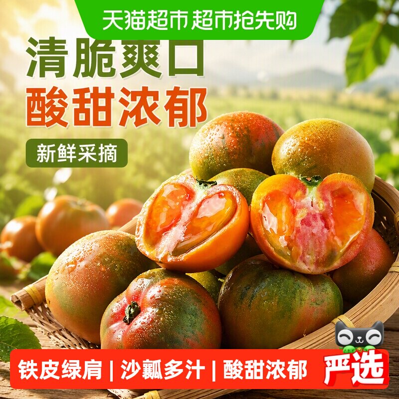 正宗丹东铁皮西红柿东北新鲜绿腚水果番茄碱地草莓柿子