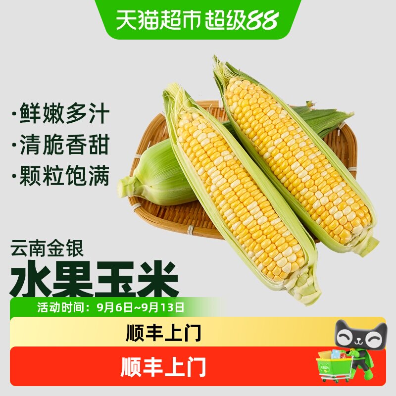 泰壹榴云南金银水果玉米清脆香甜