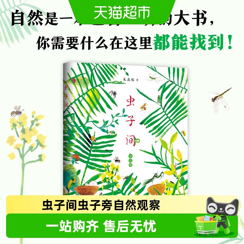 虫子间 童书爱心树 朱赢椿 虫子旁少儿版自然观察想象创意