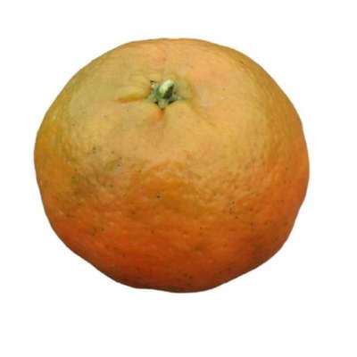 四川红橘陈老师推荐大红袍汉皮桔