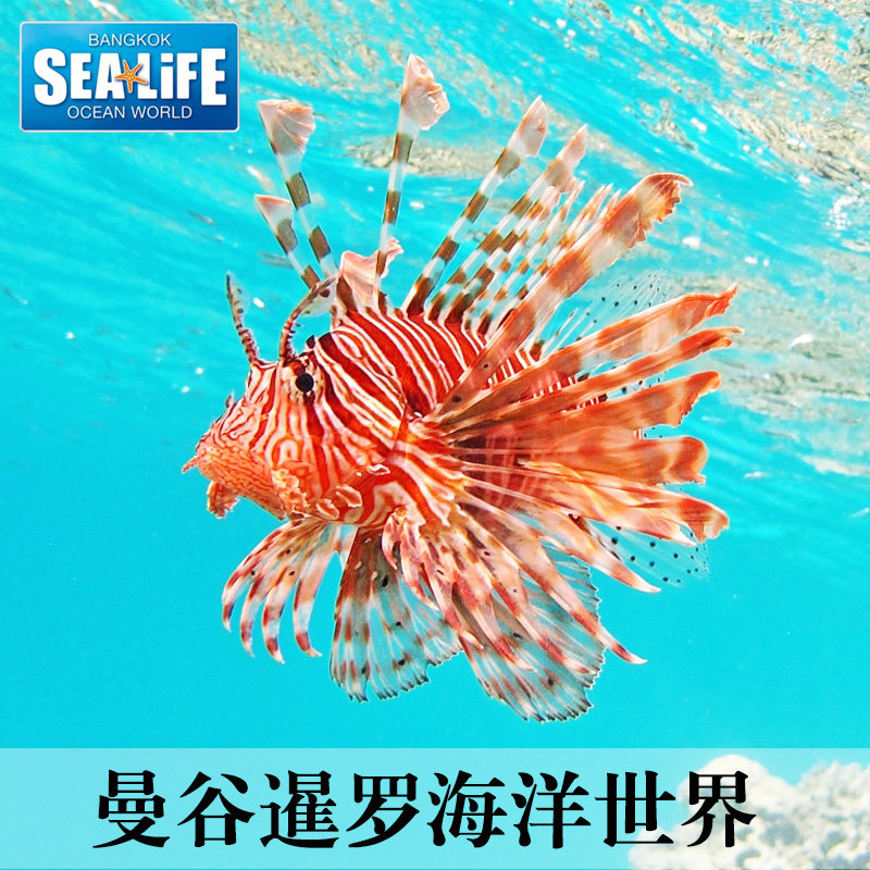 暹罗百丽宫海洋馆