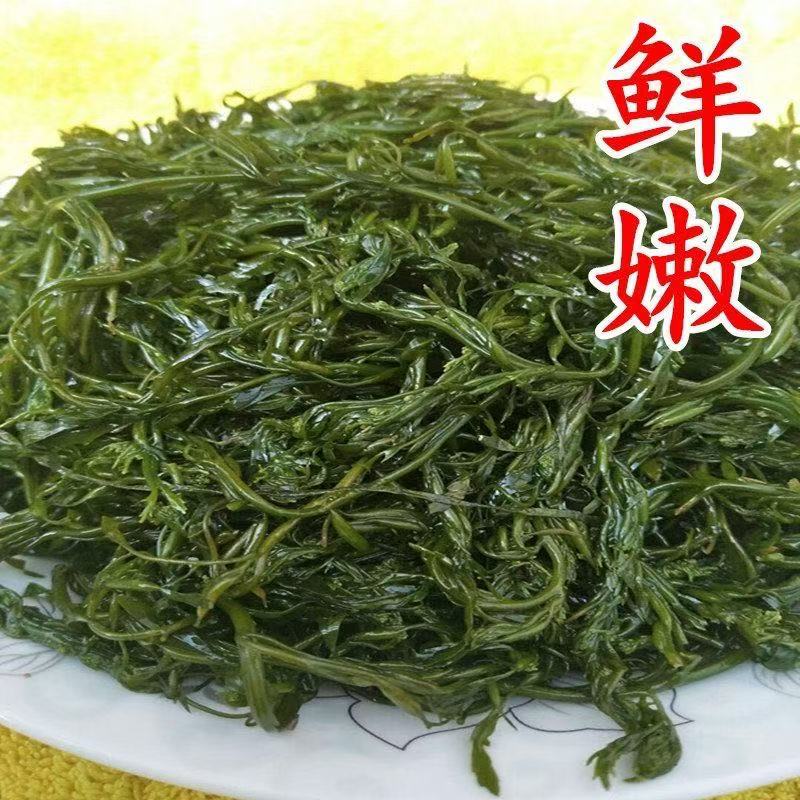 鞭炮笋盐渍马尾藻长寿菜龙须菜海草羊栖菜海藻火锅凉拌菜食材