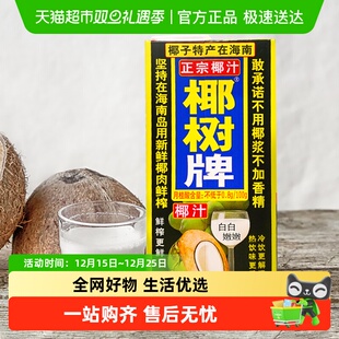 椰树椰汁植物蛋白正宗椰树牌1000ml*4盒/组椰奶椰汁特产饮料