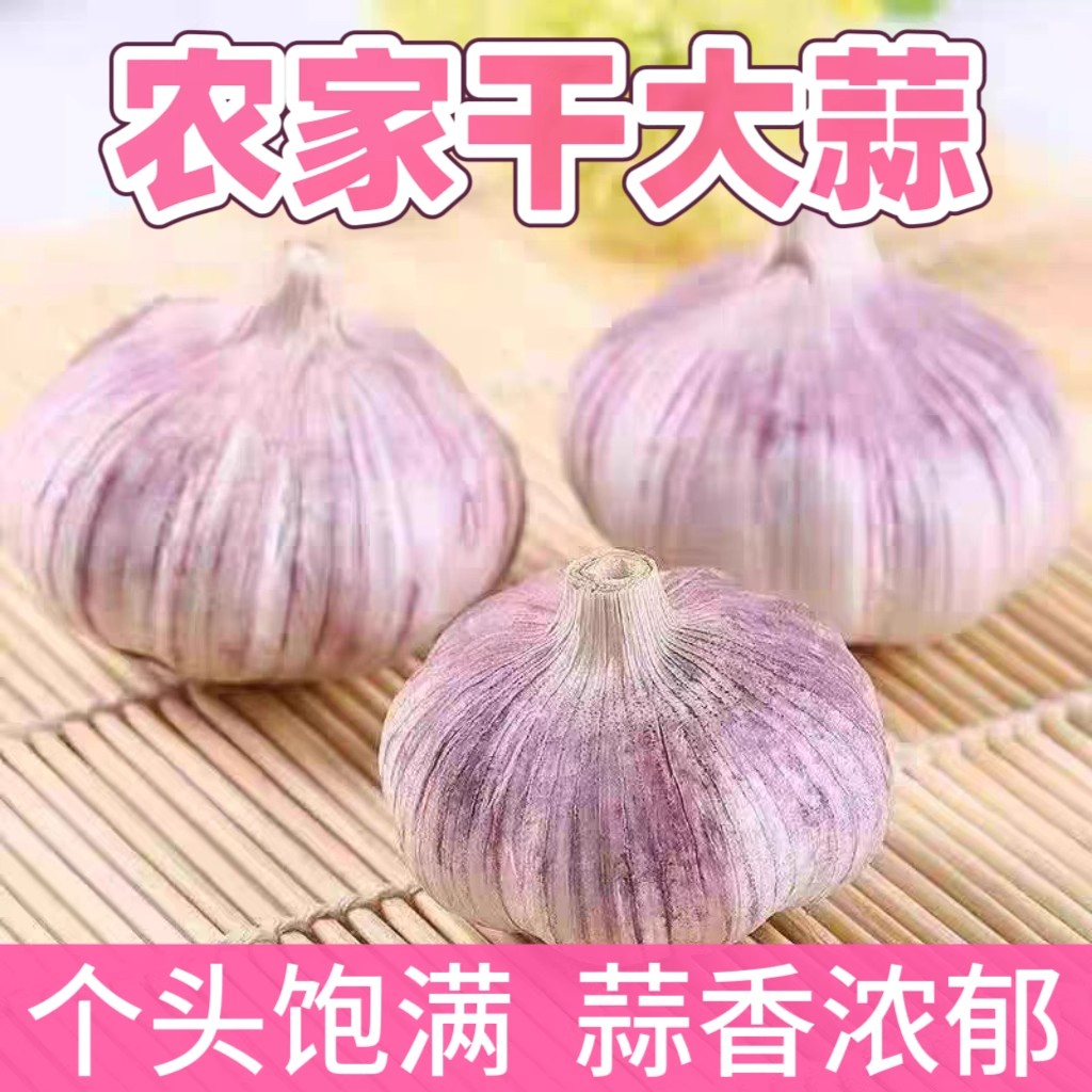 河南杞县紫白皮大蒜 新干蒜产地直发特级大蒜5斤农家大蒜头多瓣蒜