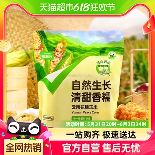 喵满分爆卖30万件云南普洱玉米花糯白糯800g新鲜现摘巴掌玉米5根