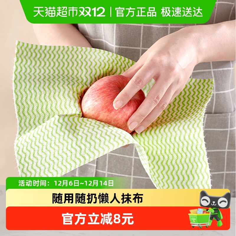 靓涤超厚懒人抹布