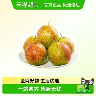 山西运城丹霞红香梨新鲜水果薄皮整箱当季 现货酥香细皮母梨