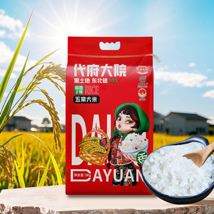 代府大院东北黑龙江寒地五常大米长粒香米5kg粳米10斤产地直发