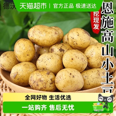 德沃多正宗恩施小土豆黄心土豆