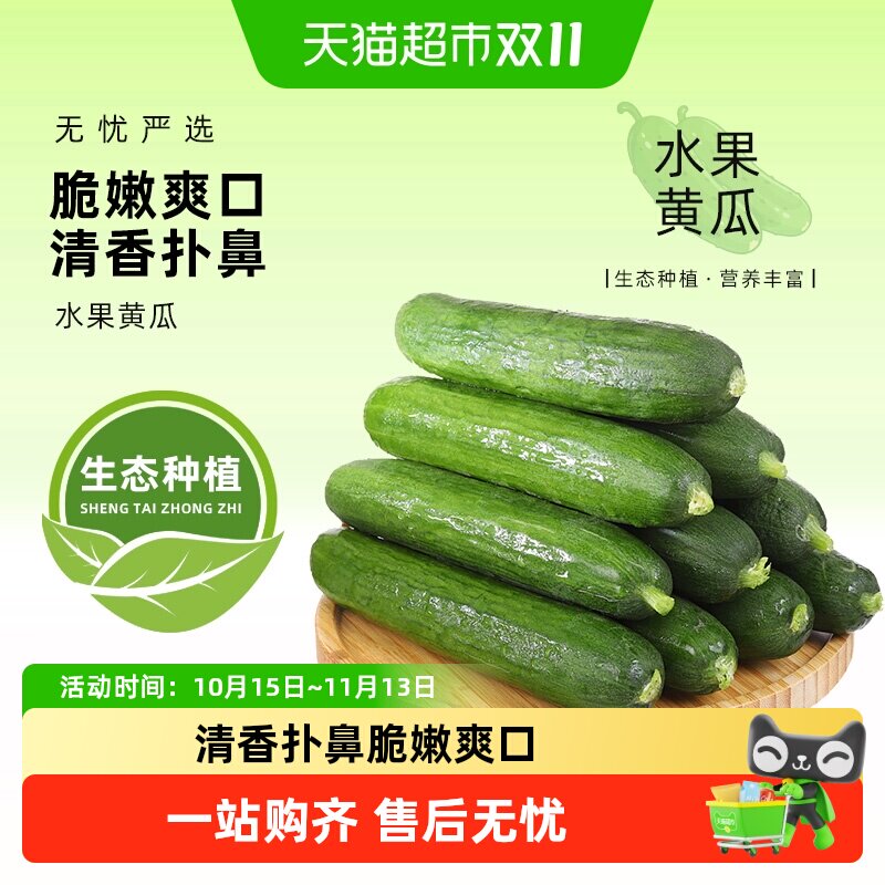 寿光蔬菜新鲜水果小黄瓜生吃无刺水果黄瓜青瓜清脆现摘