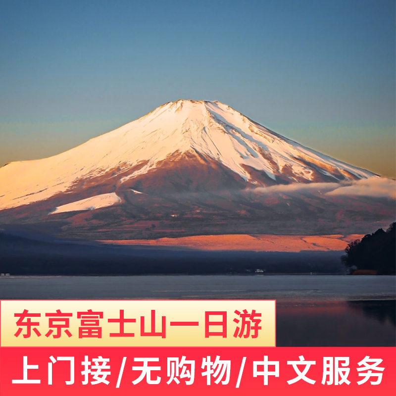 日本东京富士山一日游旅游火花大会忍野八海河口湖中文9人小团