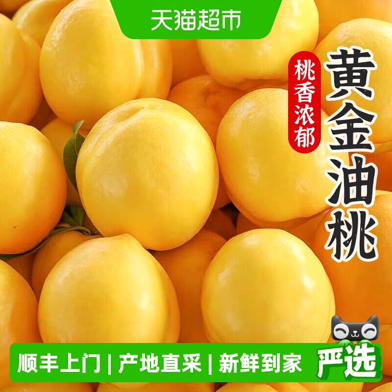 孙悟空正宗新鲜大连黄金油桃