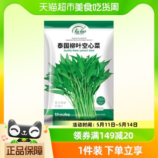 寿禾泰国柳叶空心菜种子蔬菜种籽250g孑菜种菜籽三叉小叶大叶白梗