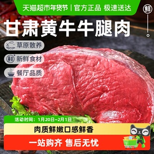 祁连天宝甘肃黄牛牛腿肉散养黄牛肉原切冷冻生牛肉健身火锅食材