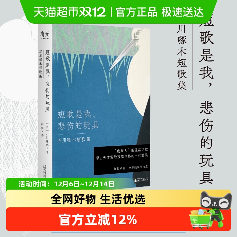 短歌是我悲伤的玩具