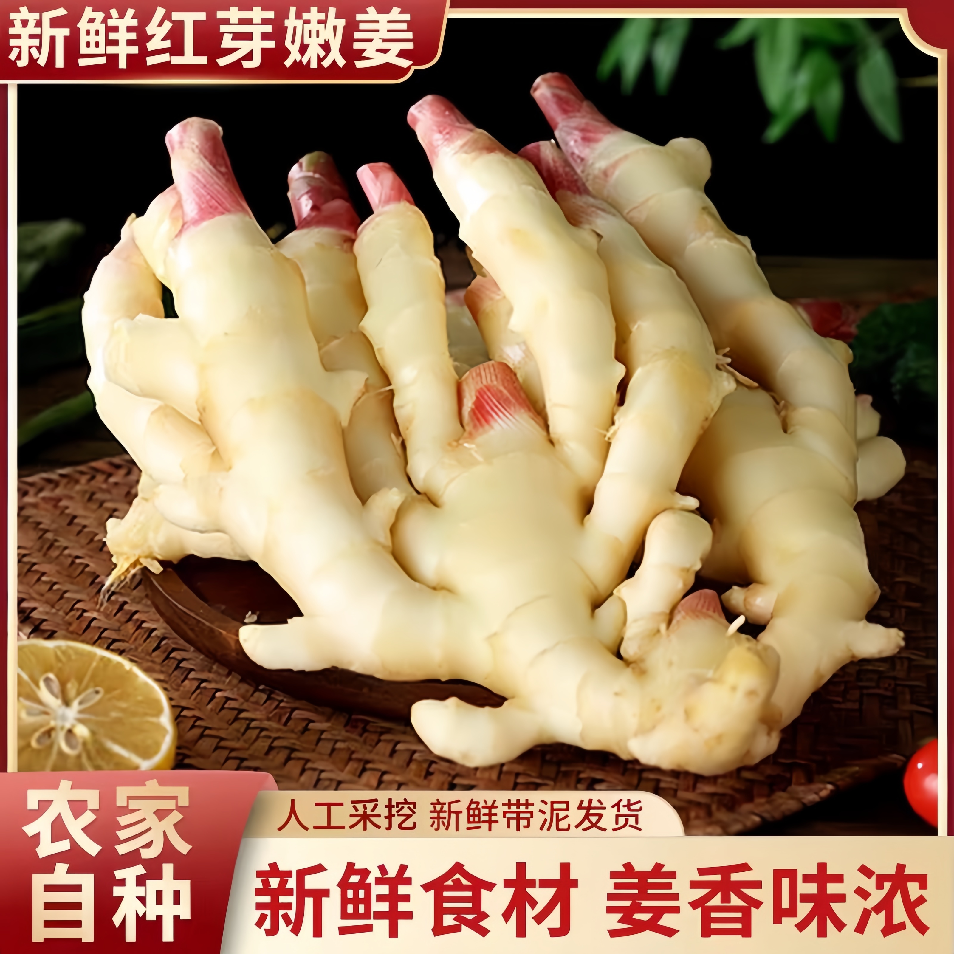 云南嫩姜新鲜仔姜子姜红芽生姜新鲜挖姜芽糖醋姜泡姜当季蔬菜