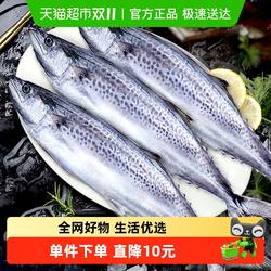 鲜驰大鲅鱼新鲜活鲐鲅鱼5斤6-8两/条马友鱼海鲜马交鱼