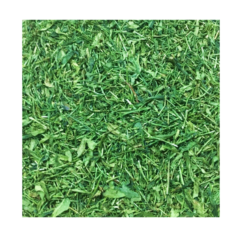 潮州凤凰单枞茶青单丛250g清香型