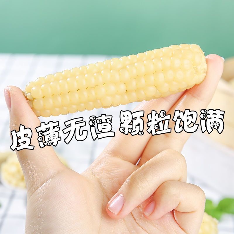 5月新玉米｜西双版纳直发；不好吃，可包退