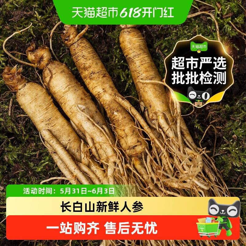 顺丰上门正宗东北新鲜整根人参吉林长白山野山参煲汤泡酒药材