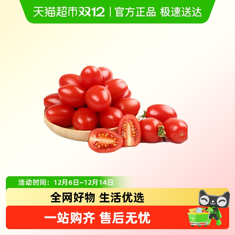 色小西红柿自然熟生吃小番茄