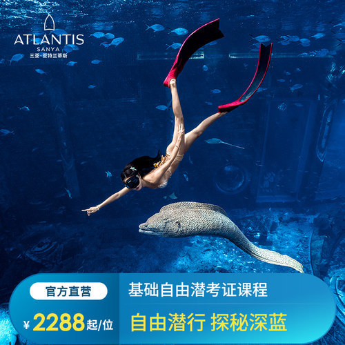 【基础自由潜考证课程】初识潜水，开启新视界！