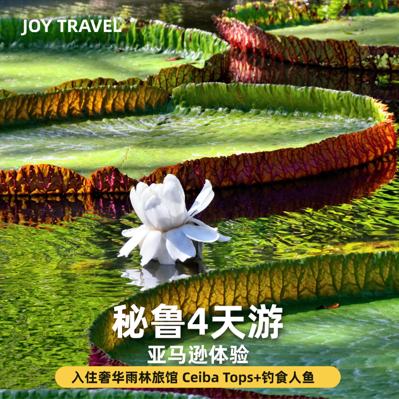 【秘鲁10-16人英文小团】亚马逊雨林4天3晚｜钓食人鱼+Ceiba Tops