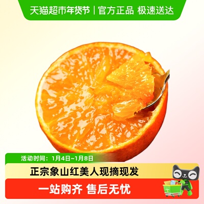 象山红美人柑橘甜嫩桔子