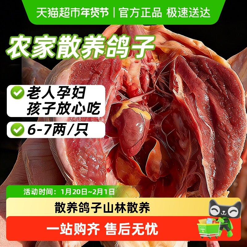 卖鱼郎先生鸽子新鲜活体非土鸽子老鸽子乳鸽鲜农家散养煲炖汤生鲜,水产肉类/新鲜蔬果/熟食,乳鸽,淘宝优惠券,粉丝福利购,淘宝优惠卷