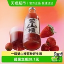 好望水果汁气泡水望山楂汁碳酸饮料草本健康解腻包装 随机