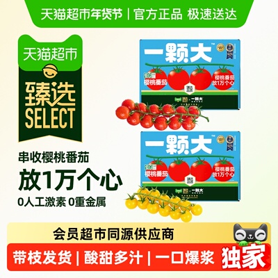 臻选一颗大樱桃番茄精品礼盒