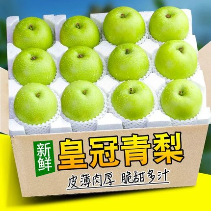 正宗河北青皇冠梨子新鲜水果当季整箱包邮翠冠梨皇冠梨雪梨脆甜