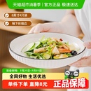 菜碟菜盘沙拉盘8英寸盘 竹木本记陶瓷盘子釉下彩家用餐盘套装