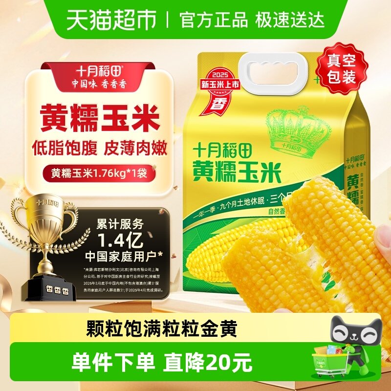 十月稻田黄糯玉米东北粘苞米杂粮粗粮低脂早餐可微波