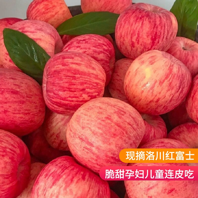 新果上市 陕西洛川苹果5斤装新鲜水果现采现摘,水产肉类/新鲜蔬果/熟食,苹果,淘宝优惠券,粉丝福利购,淘宝优惠卷