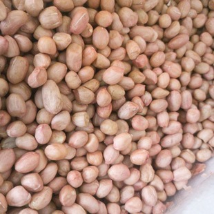 精选无壳南阳白沙花生米批发粉红皮花生仁家用商用 现剥新货特价