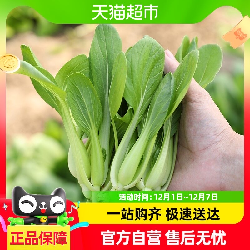 �ٺ��ļ���ë������50g�������߲����Ȳ��ֲ�������С����Ͳ�