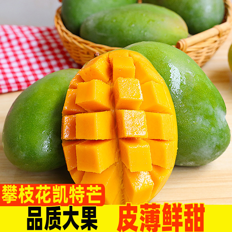 四川攀枝花青皮凯特芒果新鲜水果当季一整箱特大凯特芒树上熟鲜果
